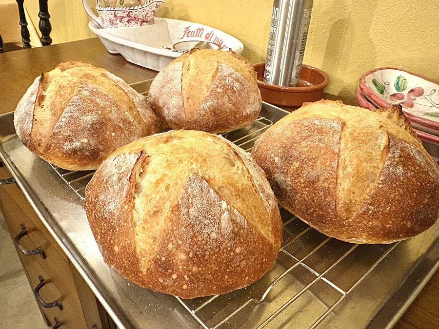 Homemade bread