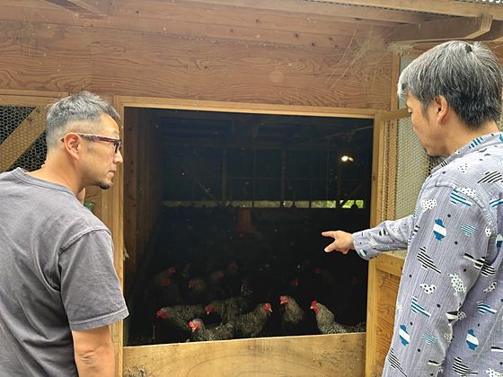 Horie-san showing us around the henhouse
