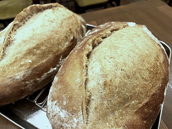 Homemade bread, started from our own yeast